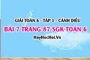 Giải bài 7 trang 87 Toán 6 Tập 1 SGK Cánh Diều